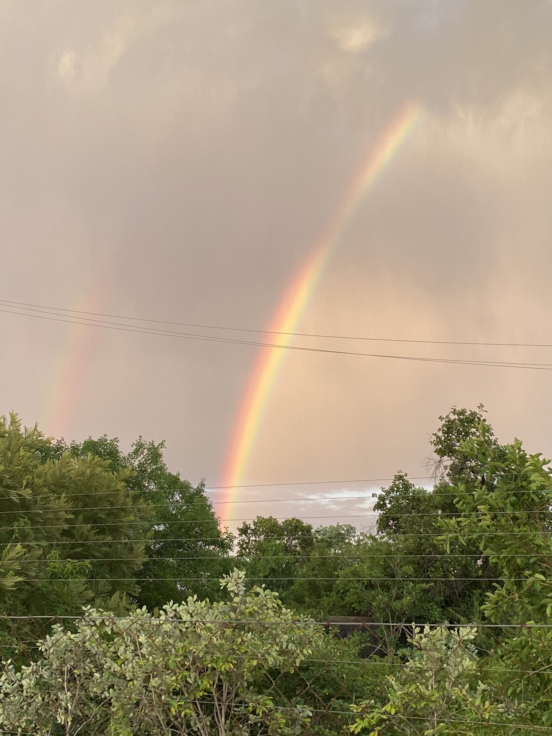 Home Holy Family Care Centre